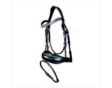 Leather Bridle 